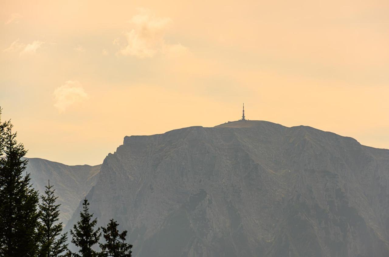 Pensiunea Hilltop Предеал Екстериор снимка